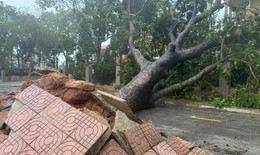 Siêu bão Champi giật cấp 17 chuyển hướng, các mô hình dự báo chưa thống nhất
