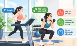 Cách tập sức mạnh hỗ trợ giảm cân cho người mới bắt đầu