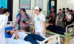Hàng chục học sinh nhập viện sau khi bị ong đốt