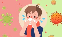 Nhận diện các loại cúm mùa thường gặp ở người