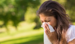 Vì sao đổi nơi sinh sống vẫn không thể trốn chạy khỏi những cơn dị ứng?