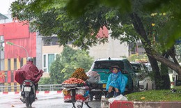 Miền Bắc sắp đón một đợt không khí lạnh 