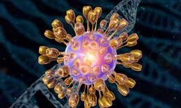 Virus ảnh hưởng đến 60% dân số thế giới chứa manh mối về nguy cơ mắc Alzheimer