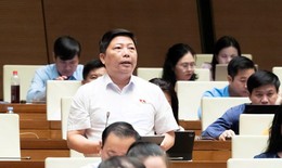 Đại biểu Quốc hội: Quyền người tiêu dùng không chỉ 'nằm trên giấy'
