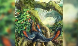 Phát hiện hóa thạch 'Gà địa ngục' ăn trái cây đầu tiên