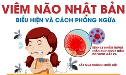 Viêm não Nhật Bản ở trẻ em: Nhận biết sớm, phòng ngừa biến chứng nguy hiểm