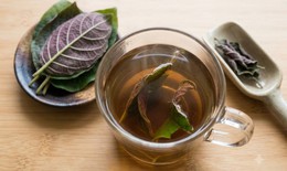 Cách dùng lá mơ lông cho người bị trào ngược dạ dày