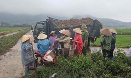 Không khí lạnh có cường độ ổn định, Trung Bộ mưa rất lớn