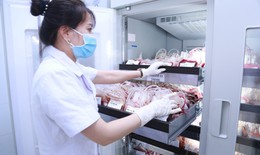 Nâng cao chất lượng, bảo đảm an toàn truyền máu tại Nghệ An