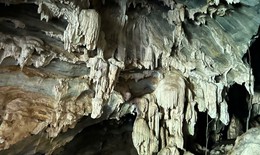 Hang động nhiều tầng nhũ đá được phát hiện giữa rừng Nghệ An