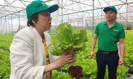 637 người ngộ độc thực phẩm trong 9 tháng, TPHCM siết kiểm soát từ nguồn cung