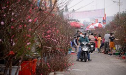 Chuyên gia nói về diễn biến thời tiết trong tháng 2, Tết Nguyên đán có thể sẽ ấm