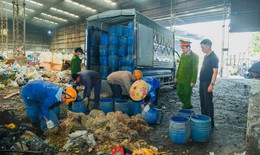  Tiêu hủy hơn 5 tấn giá đỗ sử dụng chất cấm ở Hải Phòng