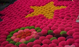 Sắc Tết rực rỡ tại làng hương Quảng Phú Cầu