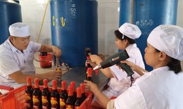 Cận Tết, làng nước mắm truyền thống Cà Ná tất bật sản xuất trong nỗi lo sức mua giảm