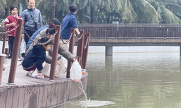 Đưa cả gia đình đi thả cá chép ngày ông Công ông Táo