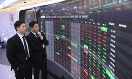 Xu hướng chứng khoán 11/2, ưu tiên nắm giữ danh mục