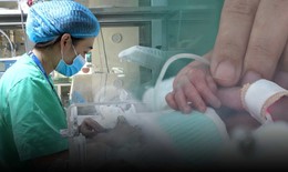 Tết bệnh viện (3): Xuân yêu thương ở nơi "ươm mầm" sự sống