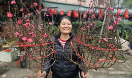 Sắc màu Tết quê giữa lòng Thủ đô