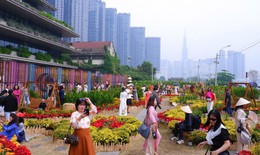 Thời tiết Tết Nguyên đán thay đổi thế nào?