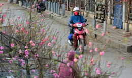 Các tỉnh thành phải chủ động ứng phó với thời tiết xấu dịp nghỉ Tết Nguyên đán 2026