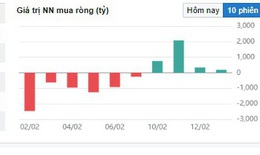 Khối ngoại mua gom cổ phiếu trước thềm năm mới
