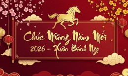 Những lời chúc Tết Bính Ngọ 2026 hay và ý nghĩa nhất
