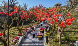 Miền Bắc rét đậm trong ngày mùng 2 và mùng 3 Tết Nguyên đán