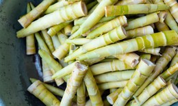 Măng tre có tác dụng gì?