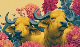 Tử vi 12 con giáp hôm nay 22/2: Tị bất ổn, Sửu may mắn tiền bạc