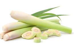 Củ sả chữa bệnh gì?