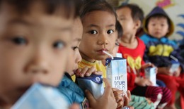 Sữa học đường: Chỉ sử dụng sữa tươi, ưu tiên trẻ em vùng khó khăn