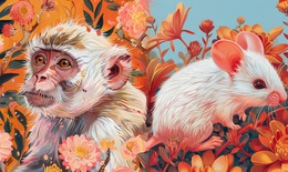 Tử vi 12 con giáp hôm nay 25/2: Mão rủng rỉnh, Ngọ thuận buồm xuôi gió