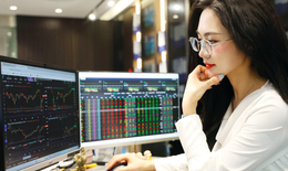 Xu hướng chứng khoán 26/2 tận dụng nhịp chỉnh để mua cổ phiếu