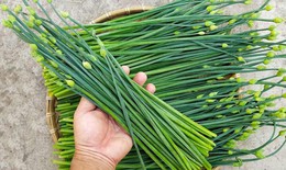 4 cách dùng rau hẹ chữa bệnh