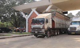 Bộ Công Thương ra công văn hướng dẫn việc kiểm tra an toàn thực phẩm nhập khẩu