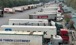 Phó Thủ tướng chỉ đạo cấp bách có hướng dẫn việc kiểm tra thực phẩm nhập khẩu