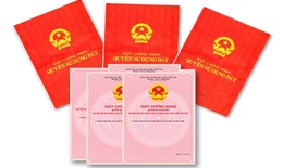 Nghị định 49/2026/NĐ-CP: Văn phòng Đăng ký đất đai được cấp sổ đỏ lần đầu từ 31/1