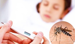 Dịch sốt xuất huyết gia tăng, ngành y tế Lâm Đồng siết chặt phòng, chống dịch