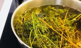 Ai không nên tắm lá mùi già ngày Tết