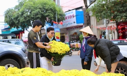Hoa Tết 'xuống phố', Đắk Lắk ngập tràn sắc xuân