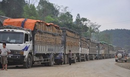 Thủ tướng chỉ đạo ban hành ngay Nghị quyết tháo gỡ vướng mắc liên quan đến Nghị định 46