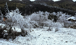 Miền Bắc có khả năng xảy ra sương muối, băng giá khi đón không khí lạnh mạnh