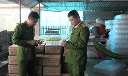 Triệt phá cơ sở sản xuất hơn 60.000 lít giấm giả