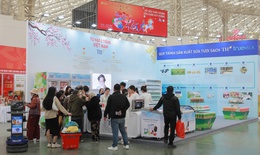 Tập đoàn TH lan tỏa tinh thần 'Tự hào hai tiếng Việt Nam' tại Hội chợ Mùa Xuân 2026