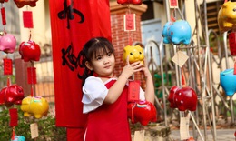 'Đường heo đất' rực rỡ sắc Xuân, điểm check-in độc đáo giữa lòng Thủ Dầu Một