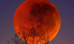Chi tiết về hiện tượng Trăng máu kỳ ảo sắp diễn ra, Việt Nam có thể quan sát được