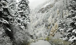 Vì sao Sa Pa ngày càng hiếm tuyết rơi?