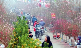 Miền Bắc đón 3 đợt không khí lạnh trước và sau Tết Nguyên đán