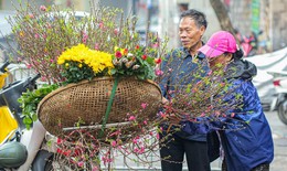 Dự báo thời tiết Tết Nguyên đán 2026 các khu vực trên cả nước